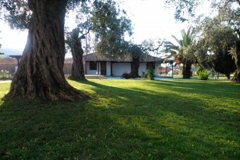 10 rooms Hotel in Thasos, Greece No. 109139 23