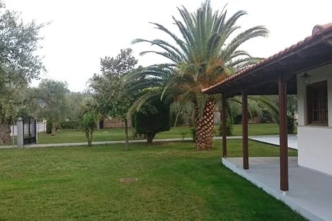 10 rooms Hotel in Thasos, Greece No. 109139 20