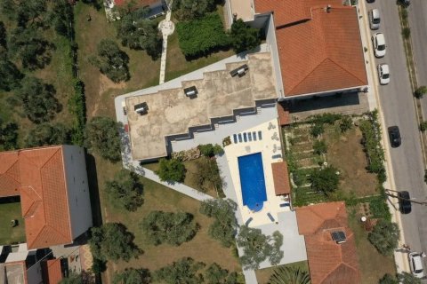 Отель, гостиница с 10 комнатами в Тасос, Греция №109139