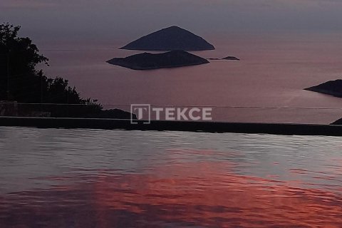 5 dormitorios Villa en Phuoc Tuy, Vietnam No. 13390 28