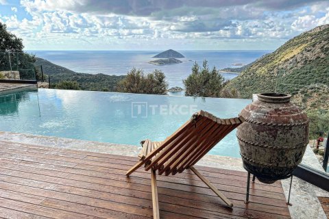 5 dormitorios Villa en Phuoc Tuy, Vietnam No. 13390 27