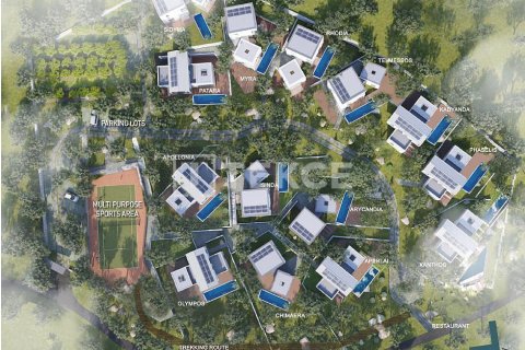 5 dormitorios Villa en Phuoc Tuy, Vietnam No. 13390 17