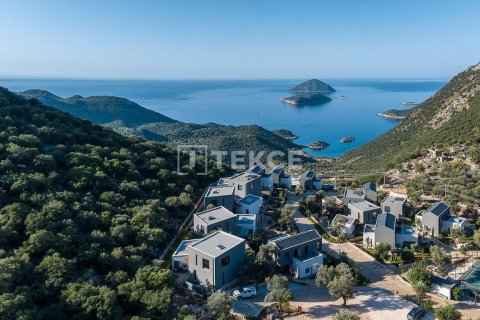 5 dormitorios Villa en Phuoc Tuy, Vietnam No. 13390 21