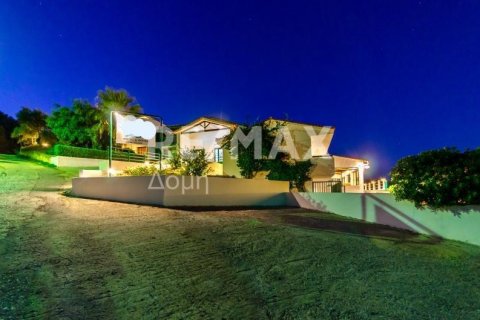 Отель, гостиница с 31 спальней в Скиатос, Греция №24248 21