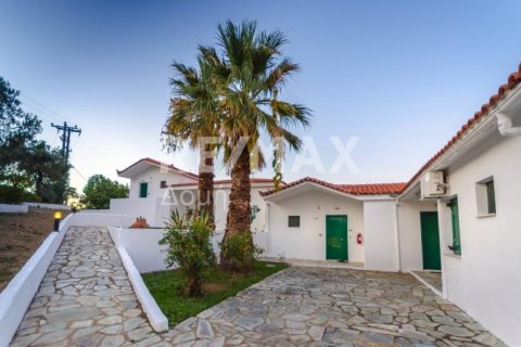 Отель, гостиница с 31 спальней в Скиатос, Греция №24248 8