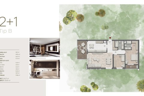 5 bedrooms Apartment in Quang Ngai, Vietnam No. 77928 21