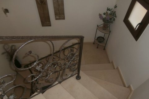 5 chambres House à Tala, Cyprus No. 37359 11