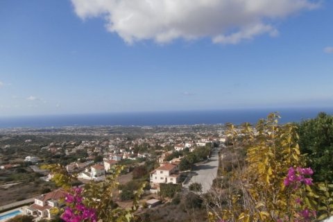 5 chambres House à Tala, Cyprus No. 37359 13