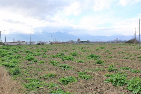 48714m² Land à Katerini, Greece No. 56143 2