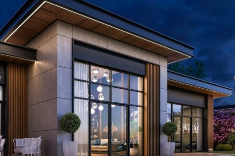 5 bedrooms Villa in Istanbul, Turkey No. 114376