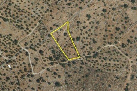 Земельный участок 5695м² в Айос-Николаос, Греция №58022 5