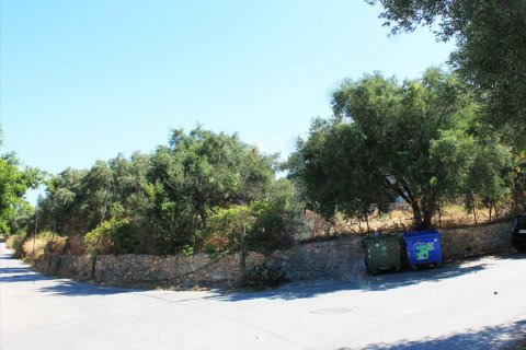 Земельный участок 2009м² в Hersonissos, Греция №109717 5