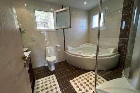 Дом с 4 спальнями в Ланейя, Кипр №76166 6