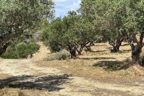 Land in Zakynthos, Greece No. 71303 11