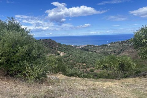 Land in Zakynthos, Greece No. 71303 7