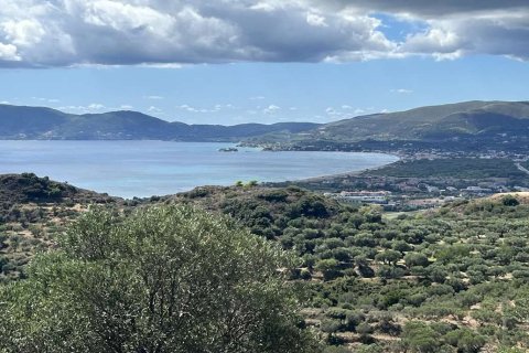 Land in Zakynthos, Greece No. 71303 5