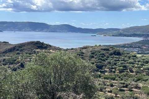 Land in Zakynthos, Greece No. 71303 6