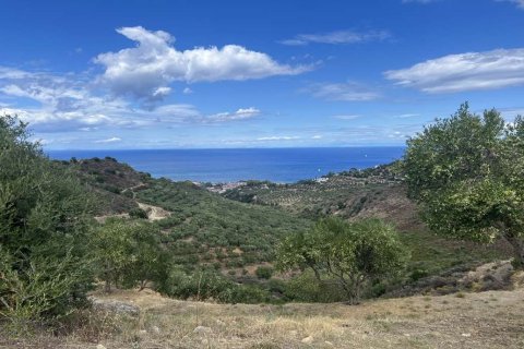 Land in Zakynthos, Greece No. 71303 22