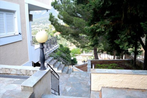 6 bedrooms Villa in Loutraki, Greece No. 49382 5