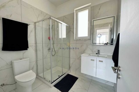 Дом с 3 спальнями в Ларнака, Кипр №31686 13