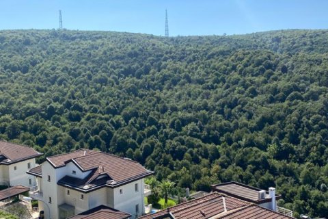 5 bedrooms Villa in Khanh Hoa, Vietnam No. 14845 12