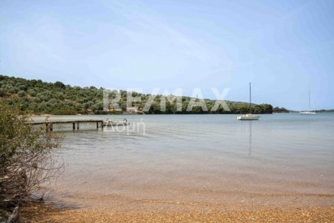 5344m² Land in Magnesia, Greece No. 24288 17