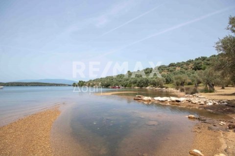 5344m² Land in Magnesia, Greece No. 24288 19