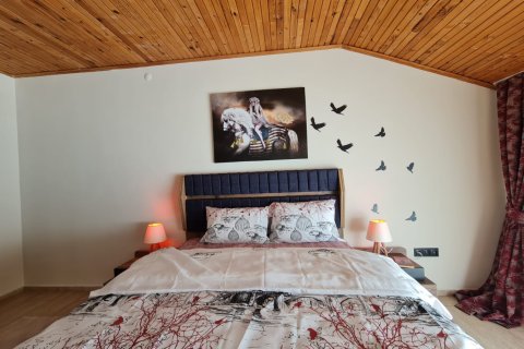 4 bedrooms Penthouse in My Thanh, Vietnam No. 12507 13