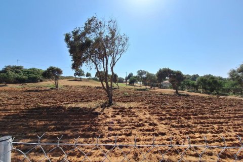 5064m² Land in Corfu, Greece No. 107592 11