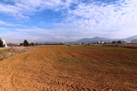 6938m² Land in Thermi, Greece No. 58939 4