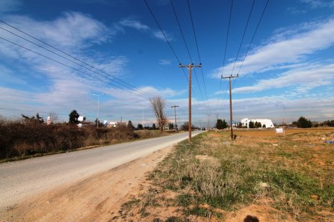 6938m² Land in Thermi, Greece No. 58939 7