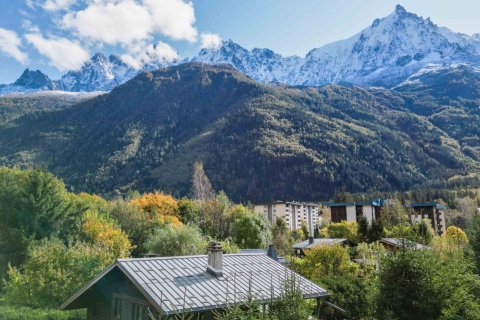 164.46m² House in Chamonix-Mont-Blanc, France No. 99957 5