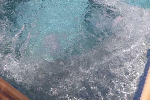 7 bedrooms Villa in Pegeia, Cyprus No. 71891 11