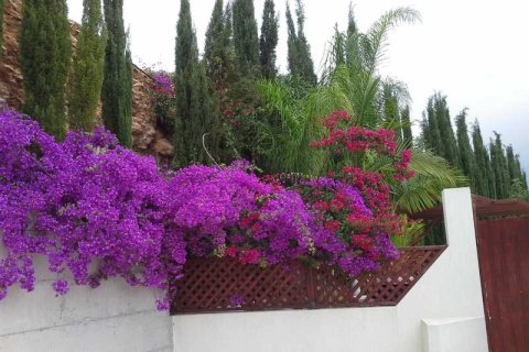 7 bedrooms Villa in Pegeia, Cyprus No. 71891 2