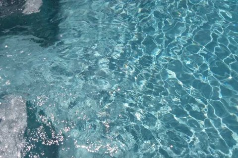 7 bedrooms Villa in Pegeia, Cyprus No. 71891 14