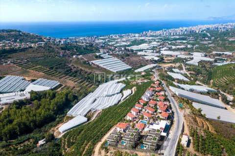 4 chambres Villa à Chau Lang, Vietnam No. 12436 24