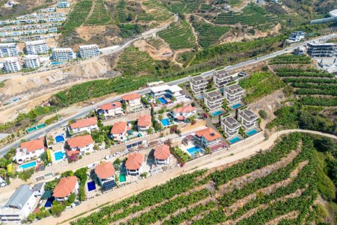 4 chambres Villa à Chau Lang, Vietnam No. 12436 23