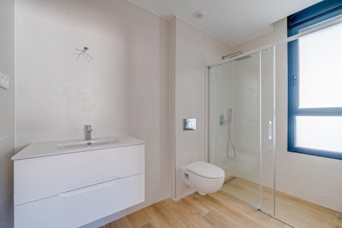 3 chambres Penthouse à Long Dinh, Vietnam No. 92213 14