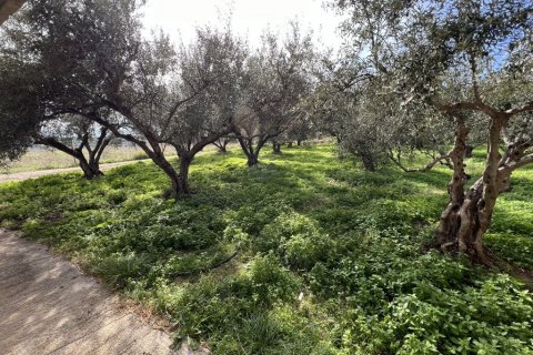 2 bedrooms House in Chania, Greece No. 76660 6