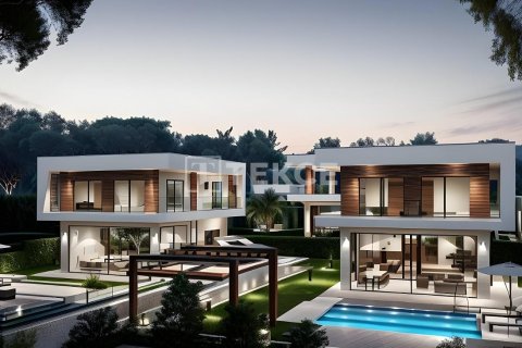 4 dormitorios Villa en Dong Coc, Vietnam No. 89179 2