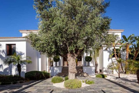 6 dormitorios Villa en Pegeia, Cyprus No. 84372 2