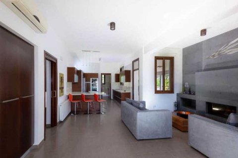6 dormitorios Villa en Pegeia, Cyprus No. 84372 14