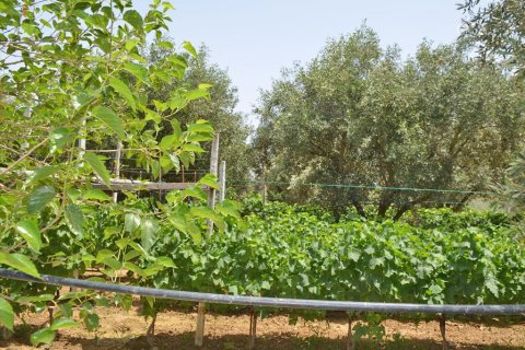 3000m² Land en Euboea, Greece No. 60262 5