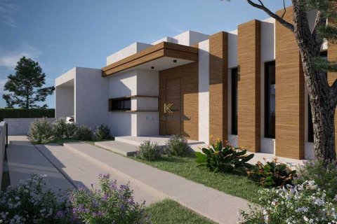 4 bedrooms House in Pervolia, Cyprus No. 101255 15