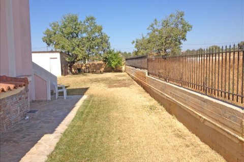 Вилла с 11 спальнями в Центральная Греция, Греция №121102 13