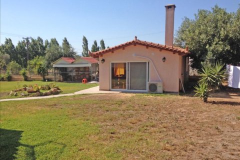 Вилла с 11 спальнями в Центральная Греция, Греция №121102 15