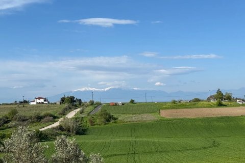 4 habitaciones House en Thessaloniki, Greece No. 107852 24