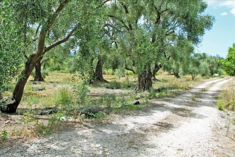 1 dormitorio House en Corfu, Greece No. 109062 25