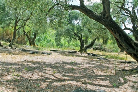 1 dormitorio House en Corfu, Greece No. 109062 28