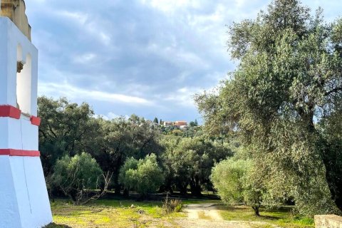 1 dormitorio House en Corfu, Greece No. 109062 21